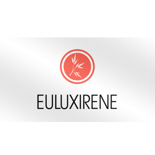 "L" Bandido, LLC Logo