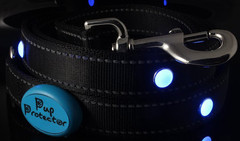 Company Logo For Pup Protector'