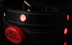 Company Logo For Pup Protector'