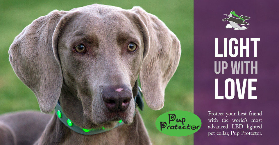 Company Logo For Pup Protector'