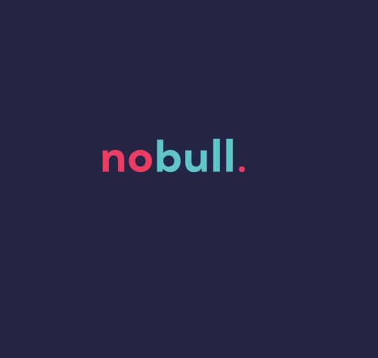 Company Logo For No Bull Marketing &amp;amp; Web Design'