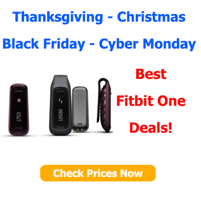 Fitbit One and Fitbit Flex'