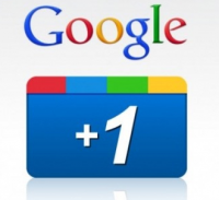 Buy Google Plus One Followers'