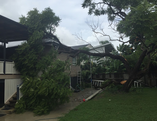 Company Logo For Brisbane Treeworx'