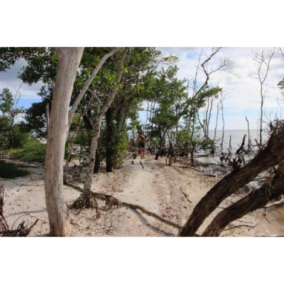 Company Logo For Mangrove Explorers LLC'