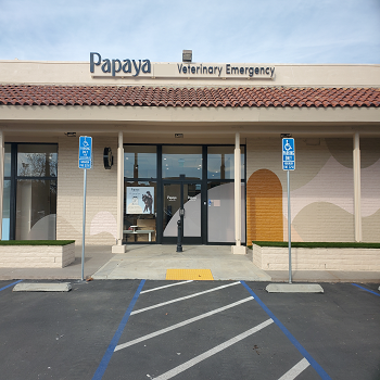 Company Logo For Papaya Veterinary Emergency - Encinitas'