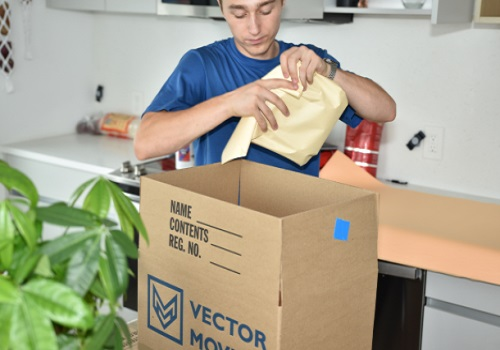 Company Logo For Vector Moving'