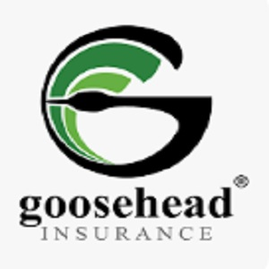 Company Logo For Goosehead Insurance - Char Von Hemp'