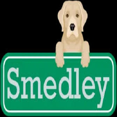 Company Logo For Smedley Plumbing'