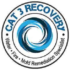 Company Logo For CAT 3 Recovery - Cape Coral'