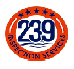 Company Logo For Inspection Services'