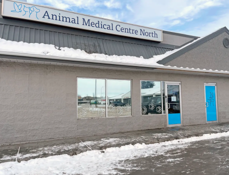 Company Image1 For Animal Medical Centre North'