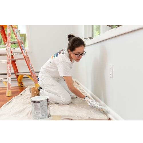 Company Logo For Sabatini Pro Painting'