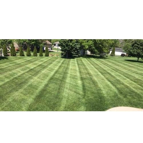 Company Logo For Royal Turf'