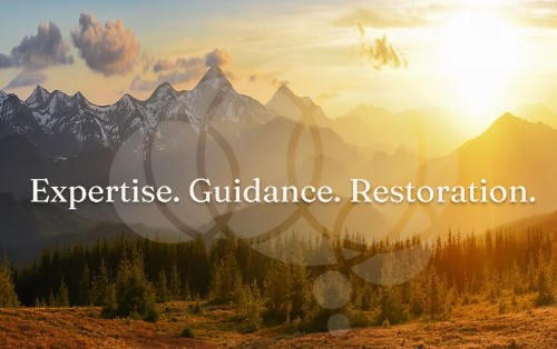 Company Logo For Pollema Counseling Center, PLLC'