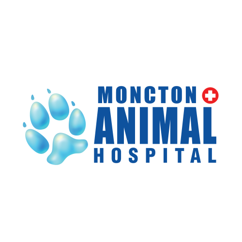 Company Logo For Moncton Animal Hospital'