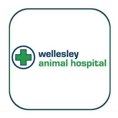 Wellesley Animal Hospital