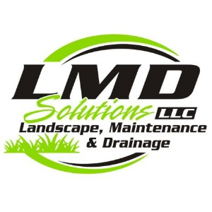 Company Logo For LMD Solutions LLC'