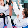 Elite Martial Arts - Taekwondo
