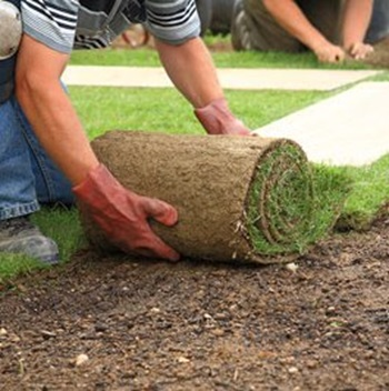 Company Logo For American Landscape Design and Installation'