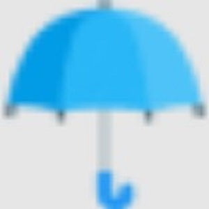 Elnora Gray-Mason Insurance