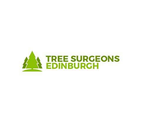 Tree Surgeon Edinburgh