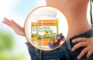 Garcinia Cambogia Select'