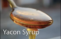 Yacon Syrup Reviews