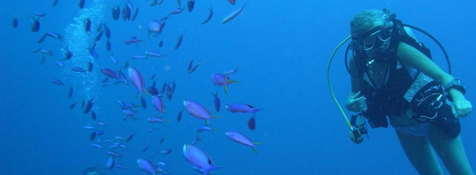 Nautilus Watersports