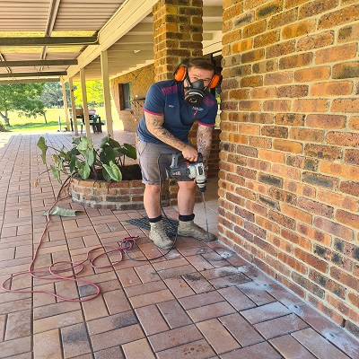 Termite And Pest Control North Brisbane'