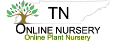 Tn Nursery Logo