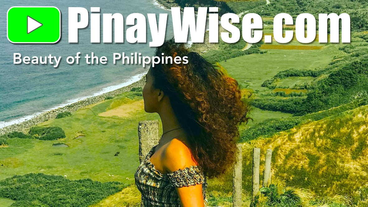 Company Logo For PinayWise.com'