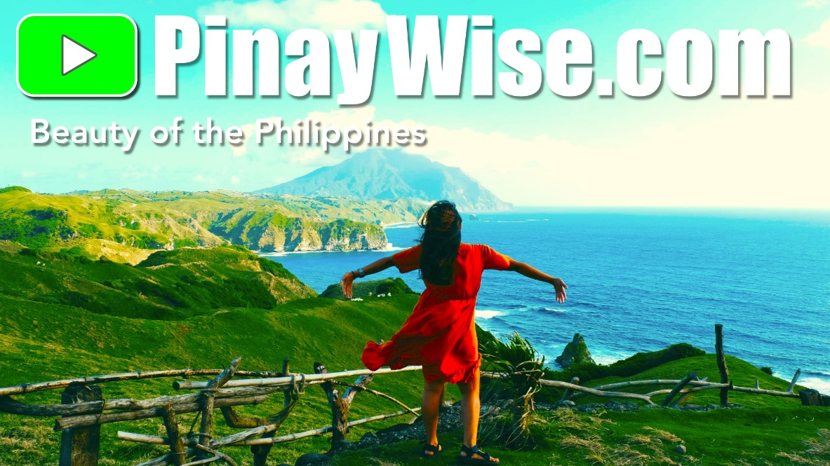 Company Logo For PinayWise.com'