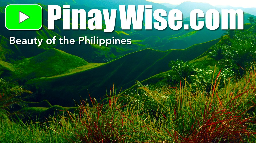 Company Logo For PinayWise.com'