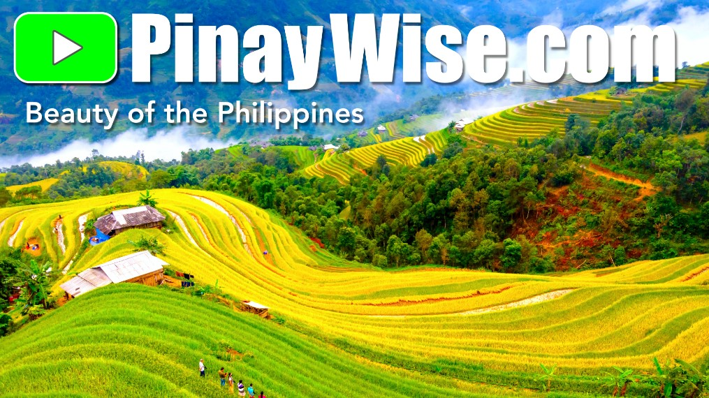 Company Logo For PinayWise.com'