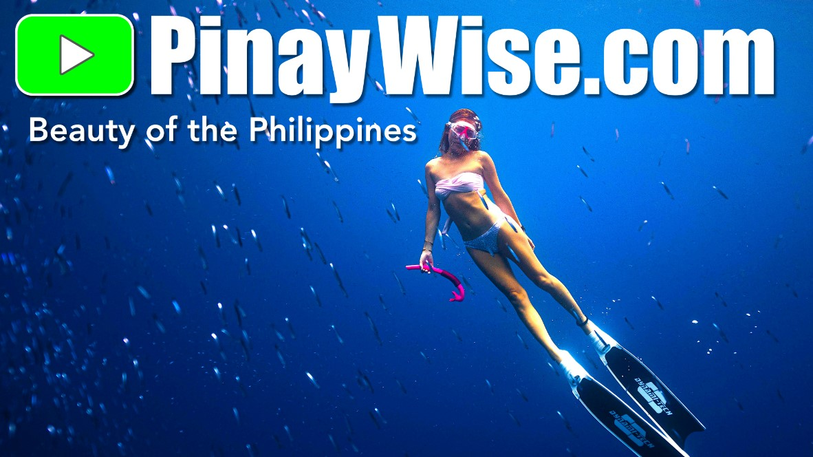 Company Logo For PinayWise.com'