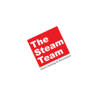 Company Logo For The Steam Team'