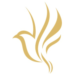 Lynda Piccione, Real Estate Broker