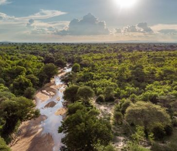 African Wildlife Safaris