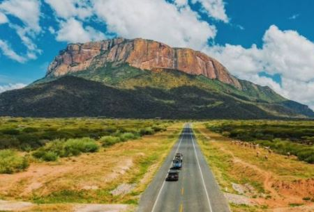 African Safari Blogs