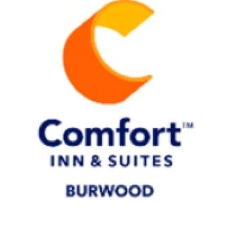Company Logo For Comfort Inn &amp;amp; Suites Burwood'