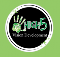 High5 Vision Development Logo