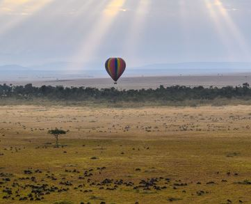 Masai Mara National Reserve