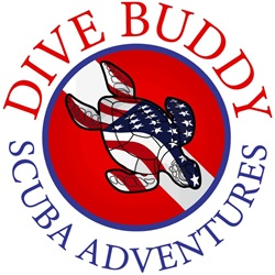 Company Logo For Dive Buddy Scuba Adventures'