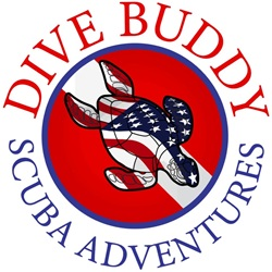 Dive Buddy Scuba Adventures Logo