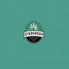 Evergreen OC
