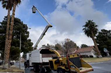 Company Photo For A Cut Above Tree Service'