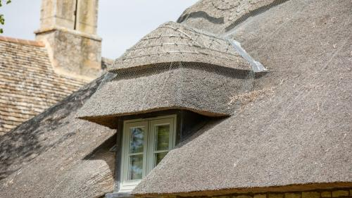 Company Logo For Thatch Inspectors'