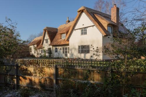 Company Logo For Thatch Inspectors'