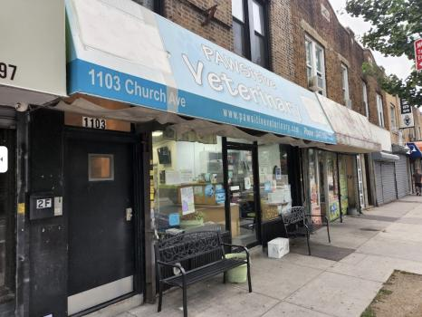 PAWSitive Veterinary of New York'